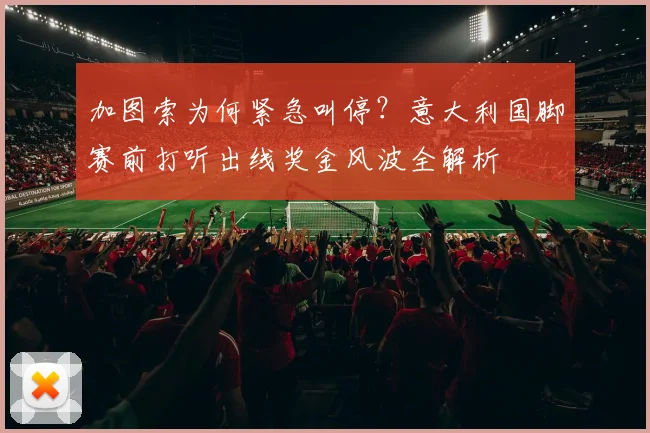 加图索为何紧急叫停？意大利国脚赛前打听出线奖金风波全解析